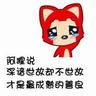 宠物驱虫要领知识